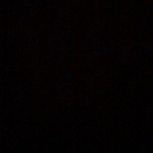 Meet your Posher, Lacey